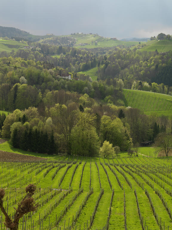 Weingut Skoff Original Hotel Gamlitz Luaran gambar